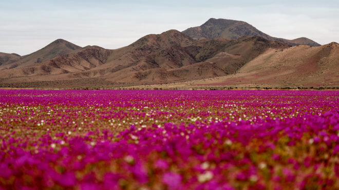 22-πράγματα-που-δεν-ξέρατε-για-τον-πλανή-564009313