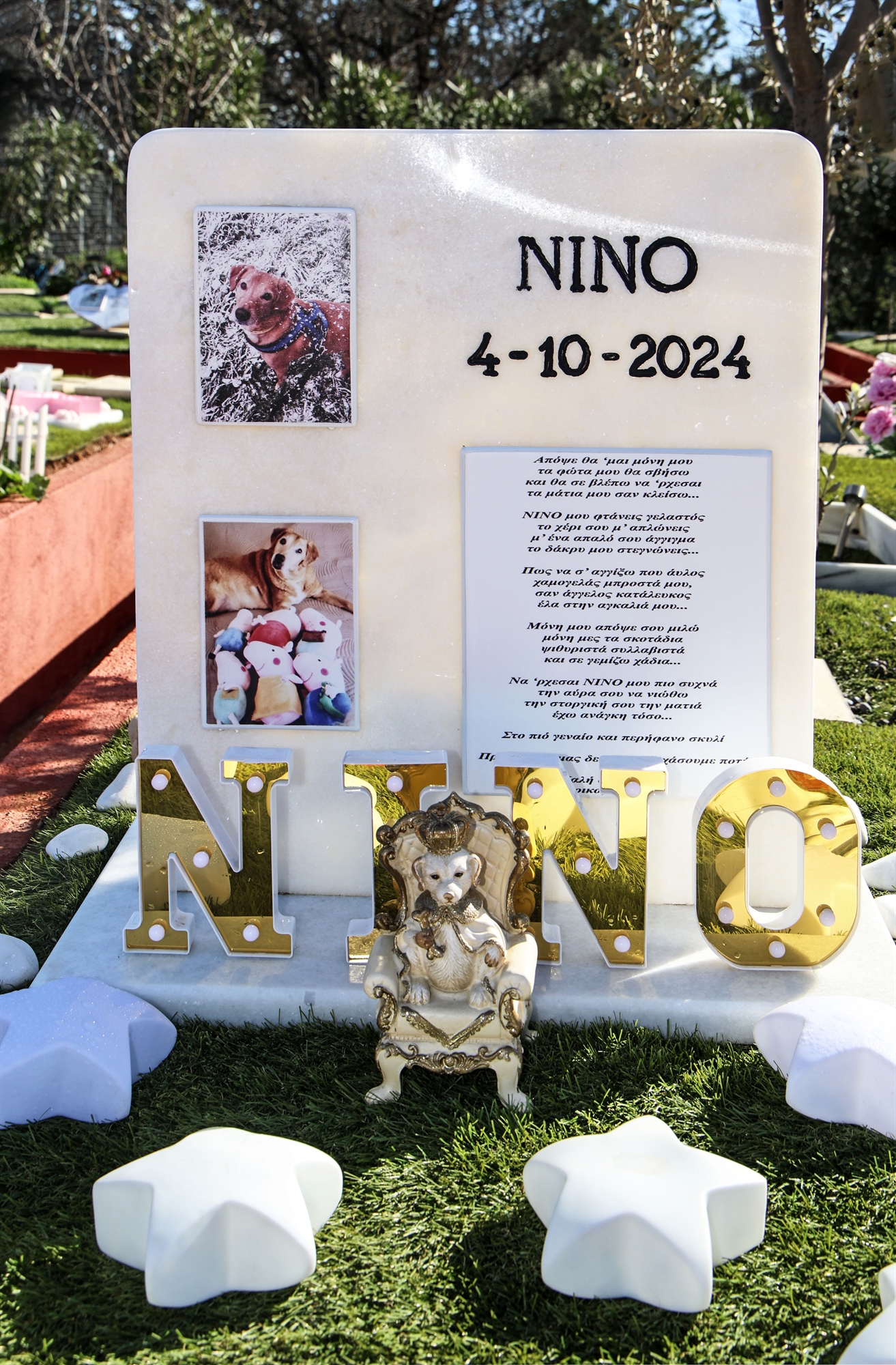 Πού πάνε τα ζώα μας όταν πεθάνουν-2