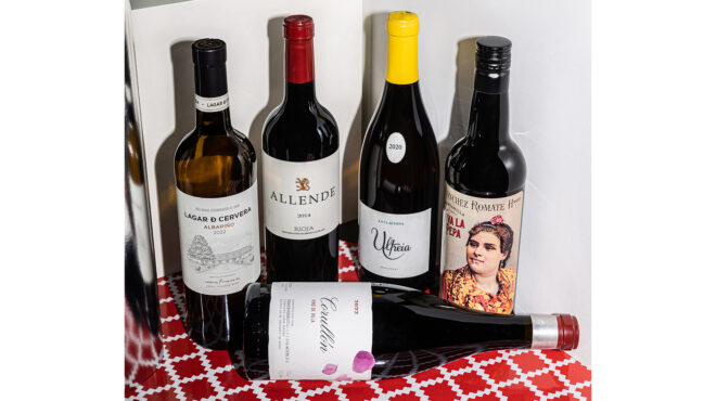 γνωριμία-με-τον-ισπανικό-αμπελώνα-εν-τ-564023131