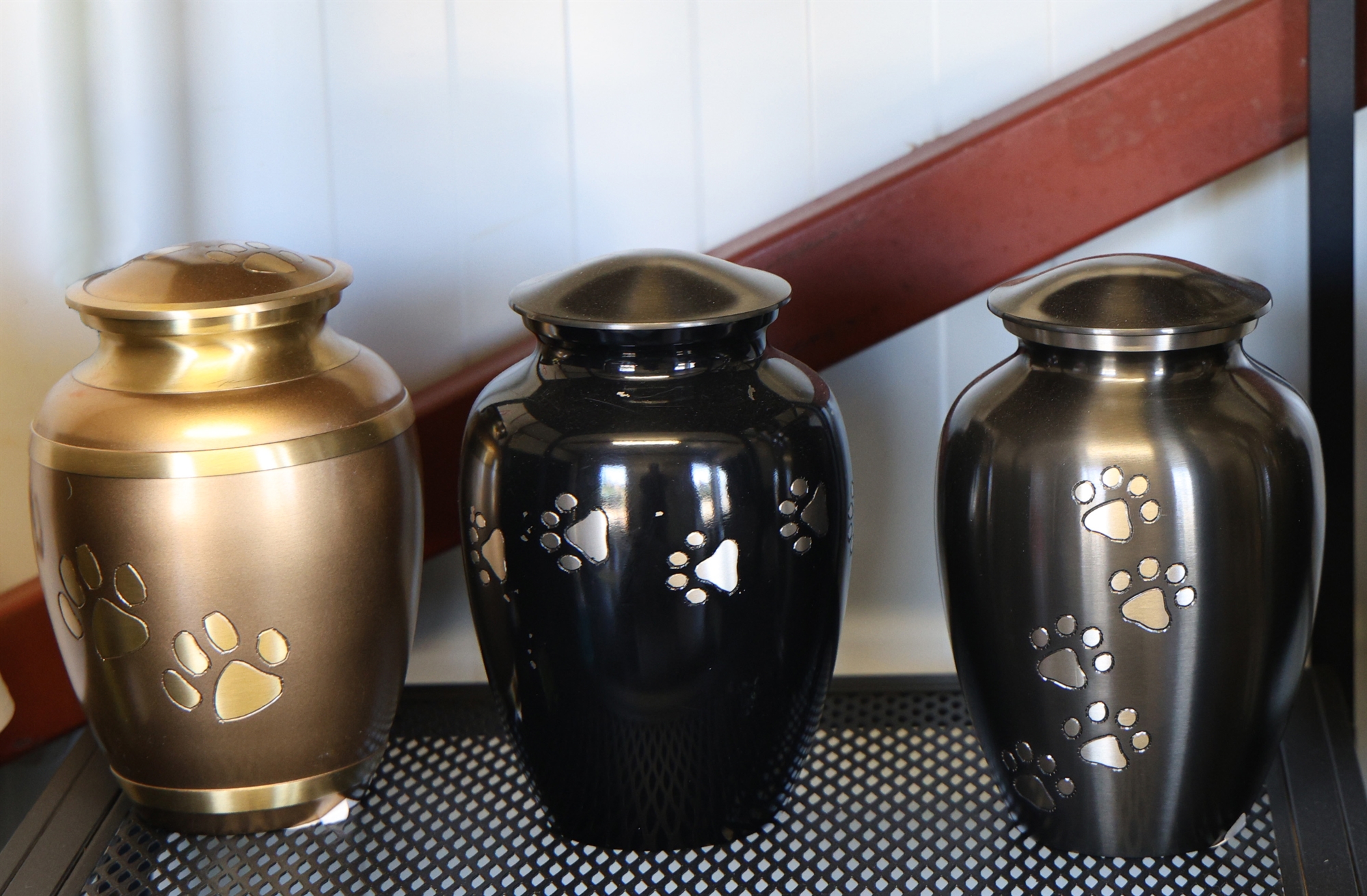 Πού πάνε τα ζώα μας όταν πεθάνουν-1