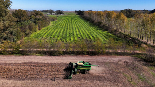 αρθρο-σπύρου-κίντζιου-στην-κ-η-γεωργ-564010627