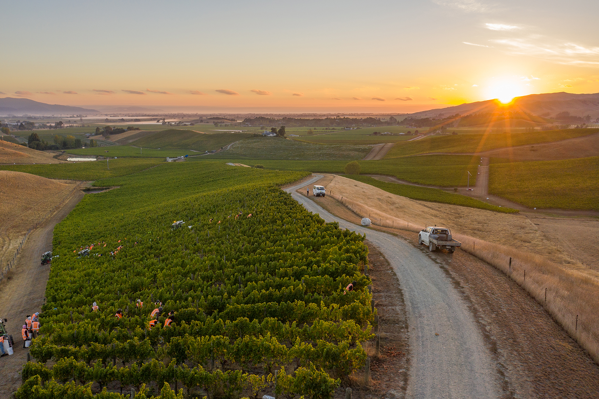Ιβαν Σάδερλαντ: Από Ολυμπιονίκης κωπηλάτης, πρωτοπόρος του Sauvignon Blanc στο Μάρλμπορο-2