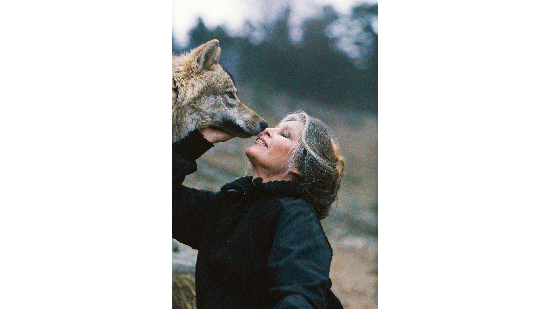 μπριζίτ-μπαρντό-το-πρόβατο-που-έκανε-τ-564011503