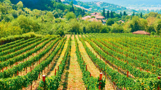 αρθρο-του-αντώνη-φιλιππή-στην-κ-οι-πρ-564027886