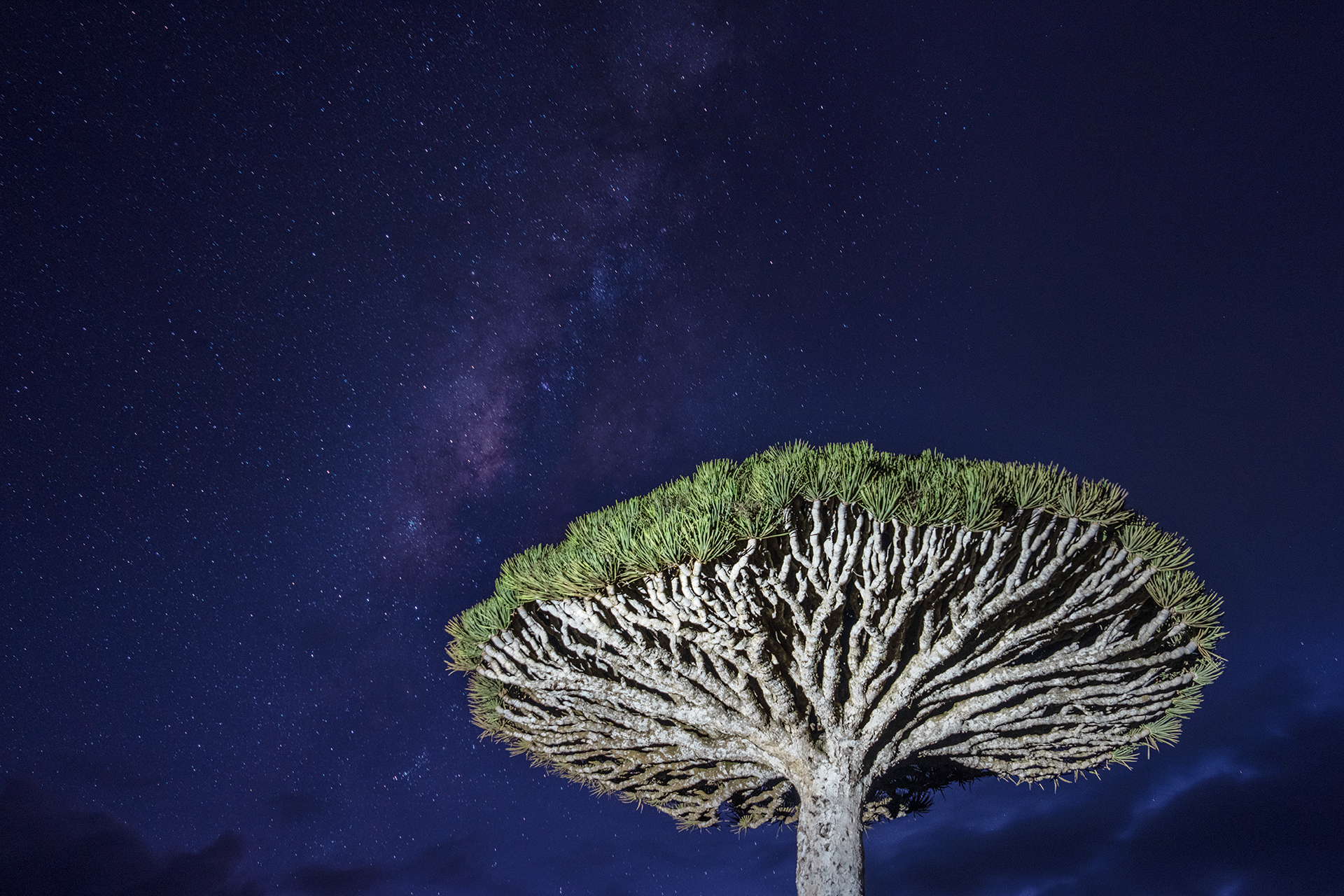 22 πράγματα που δεν ξέρατε για τον πλανήτη Γη-16