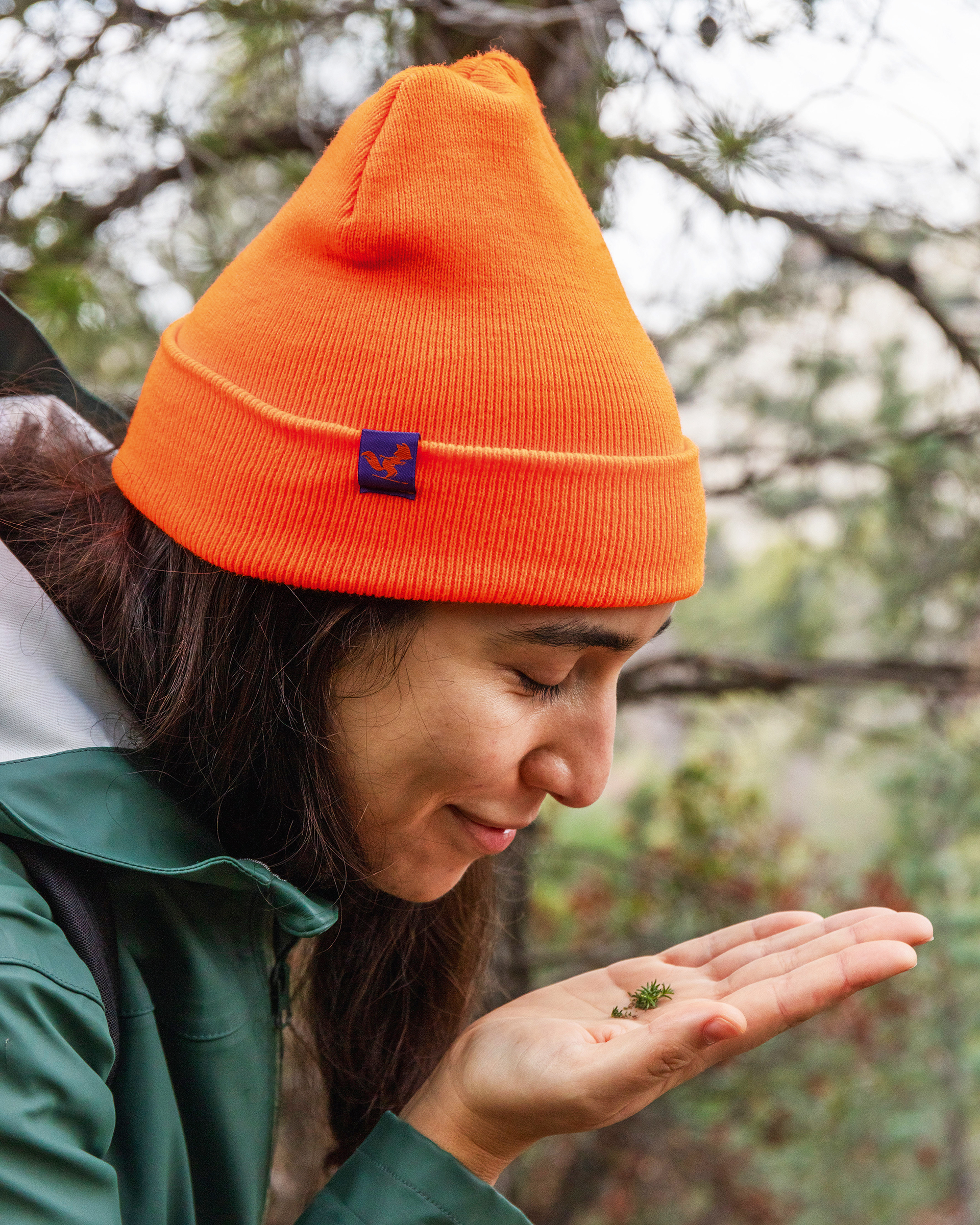 Τα καλά κρυμμένα μυστικά του Υμηττού-6