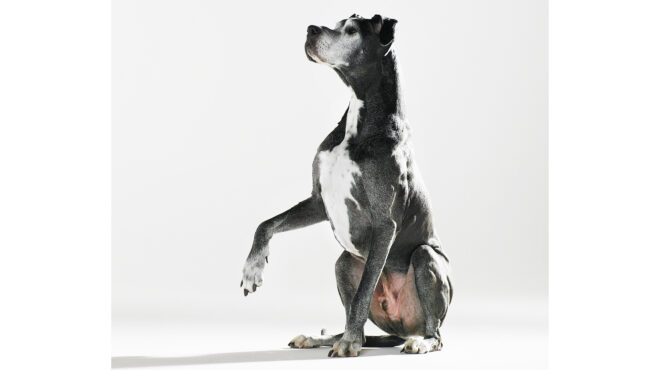 μήπως-να-κάνετε-μια-ασφάλεια-υγείας-στ-564023389