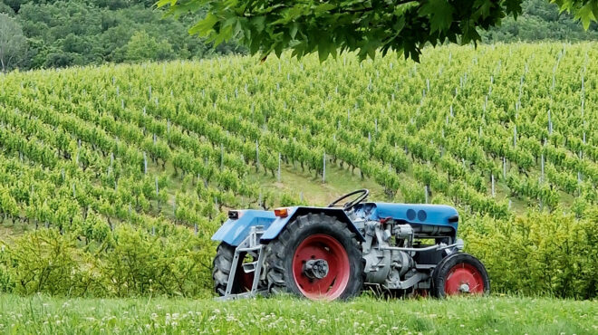 το-ελληνικό-κρασί-προσπαθεί-να-πρασι-564032050