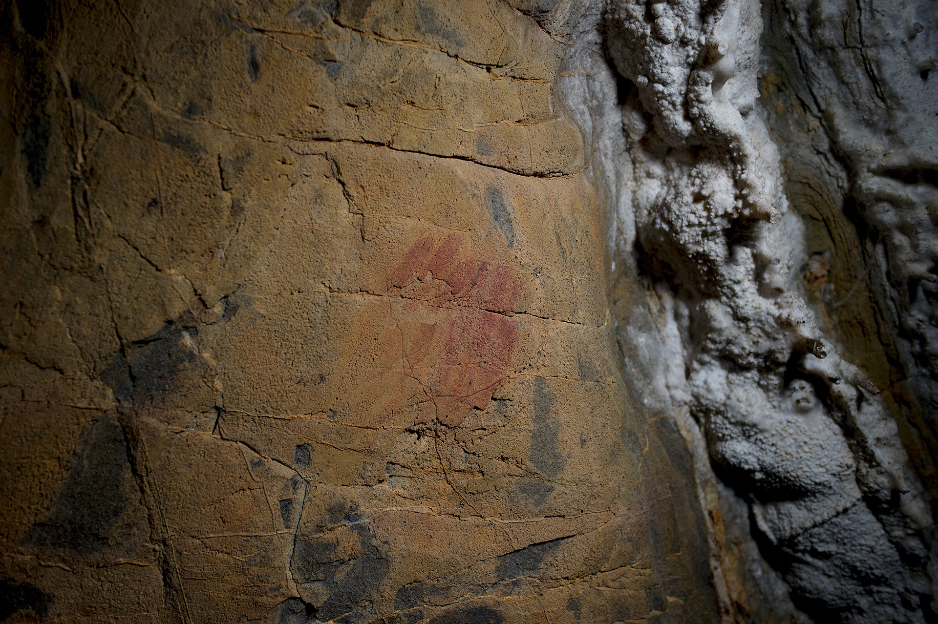 Καταγόμαστε από τους Νεάντερταλ;-2