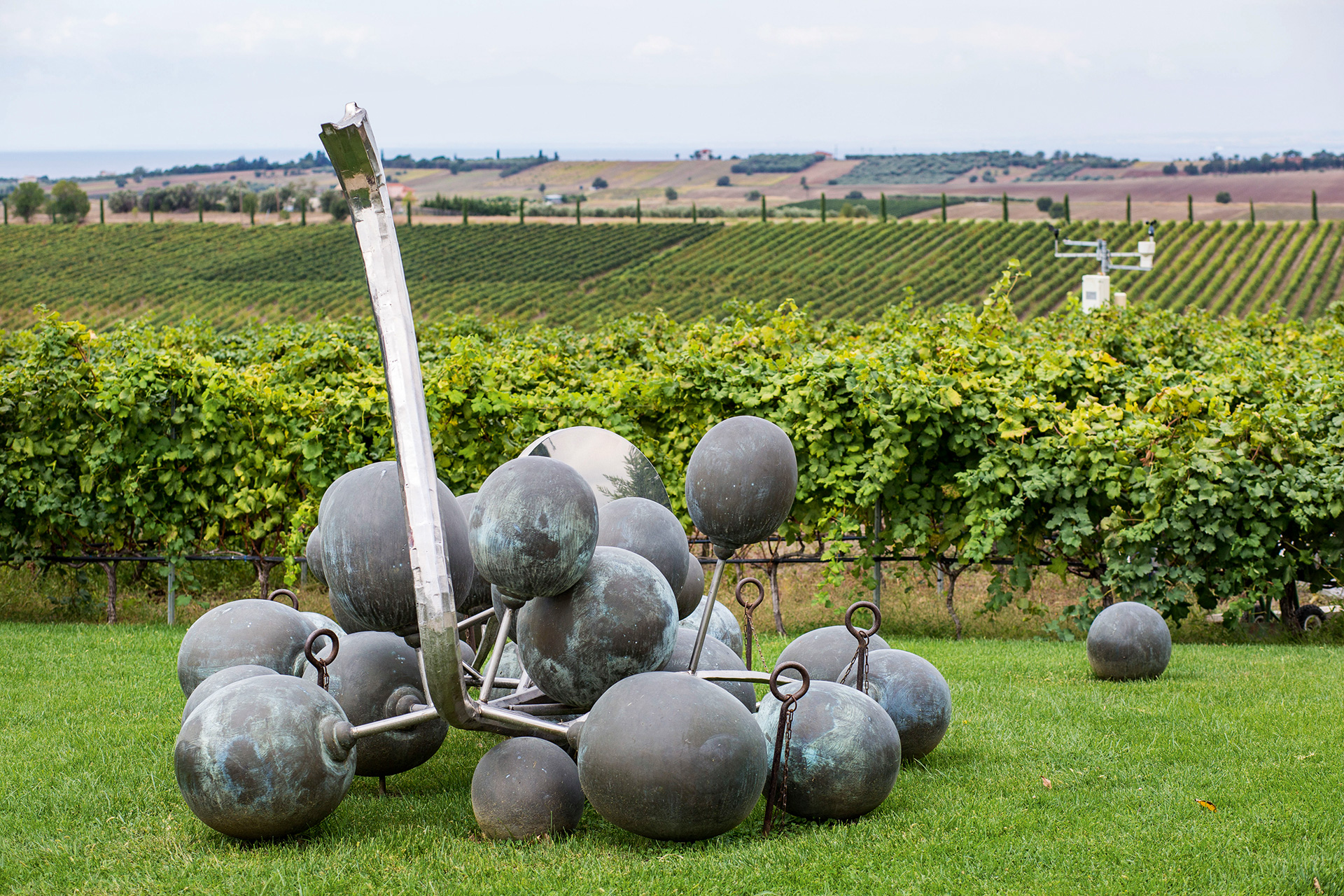 Το ελληνικό κρασί προσπαθεί να «πρασινίσει»-1