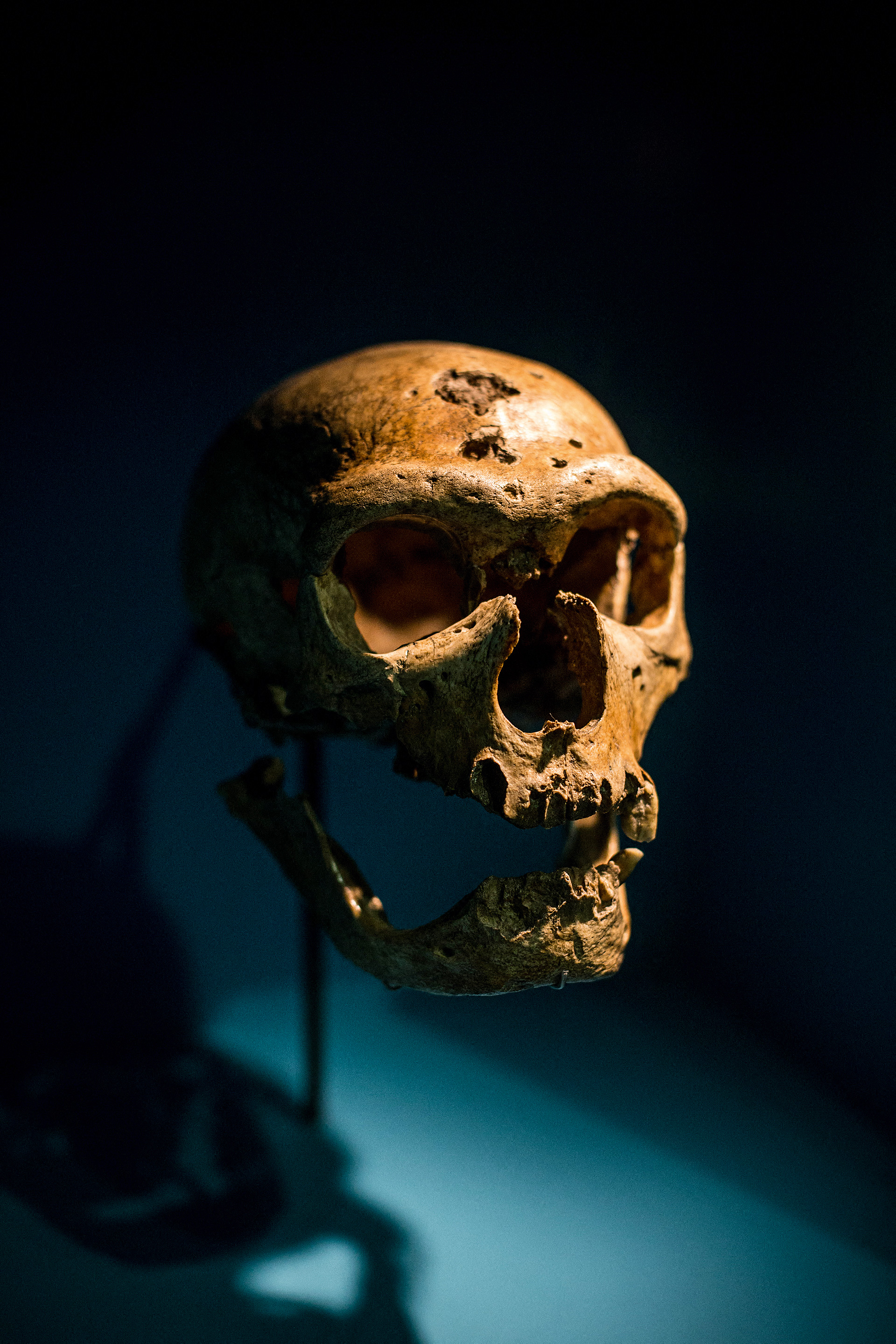 Καταγόμαστε από τους Νεάντερταλ;-1