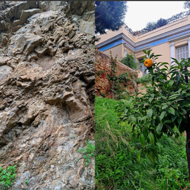 η-ανάμνηση-της-φύσης-στην-παριλίσια-πό-564005377