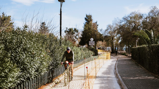 η-μεγάλη-περιπέτεια-του-ποδηλατόδρομ-564054448