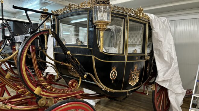 τατόι-οι-γρίφοι-της-συντήρησης-564030385