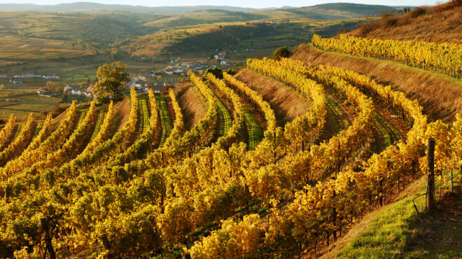τερουάρ-χωρίς-σύνορα-λανζαρότε-κάτω-α-564032092