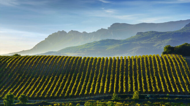 η-ριόχα-δεν-είναι-μία-αλλά-πολλές-564045745