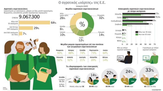 ερευνα-οι-ιδιαιτερότητες-του-πρωτογε-564008761