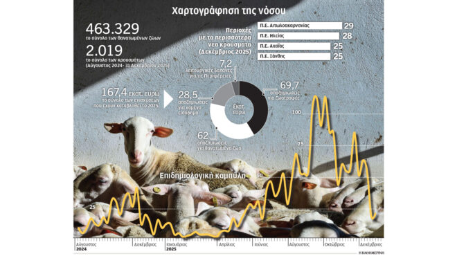 το-διπλό-τραύμα-της-ευλογιάς-των-αιγ-564015217