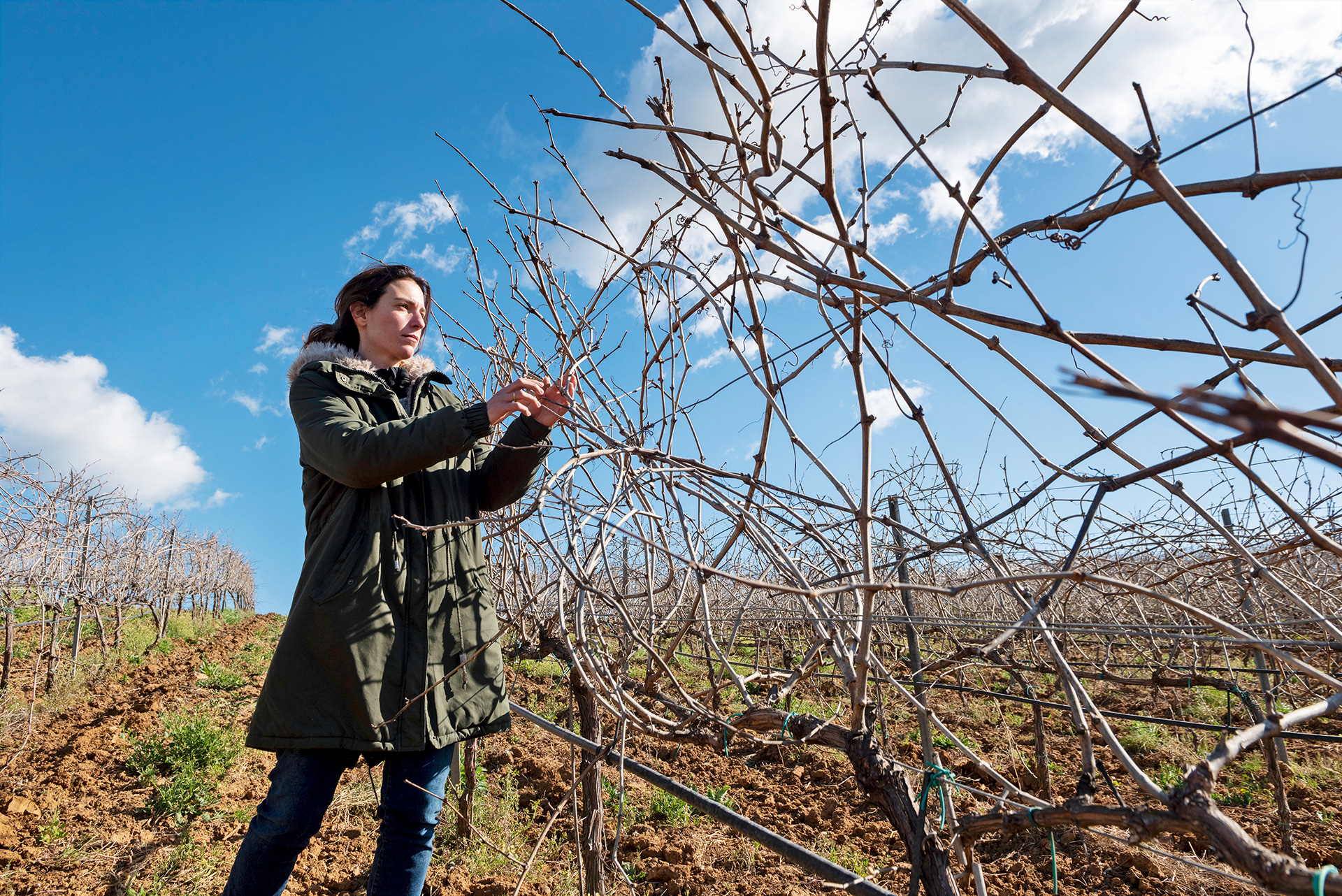 Οι πρωτοπόροι της ελληνικής υπαίθρου-3