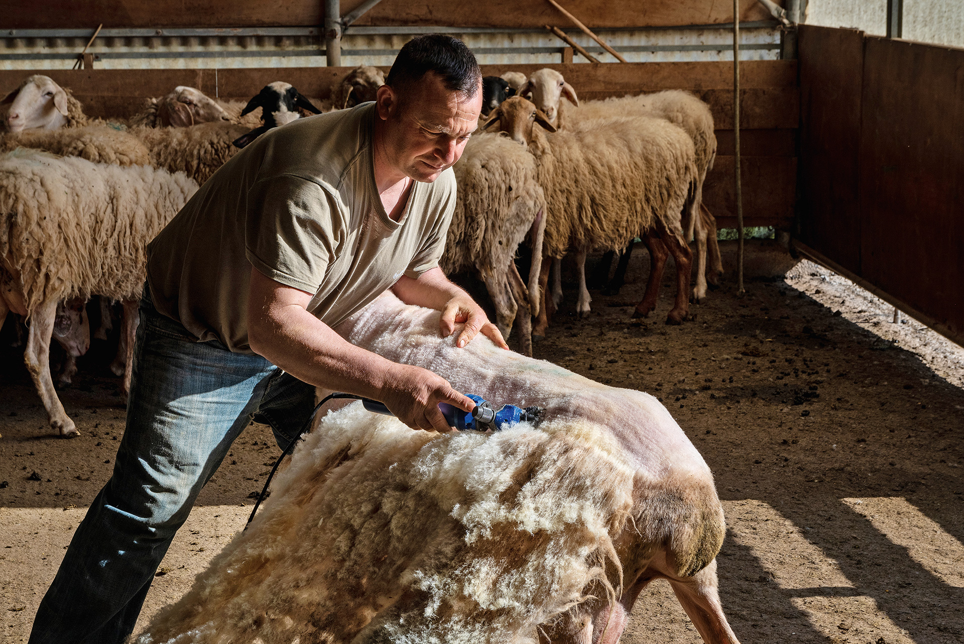 Οι πρωτοπόροι της ελληνικής υπαίθρου-4