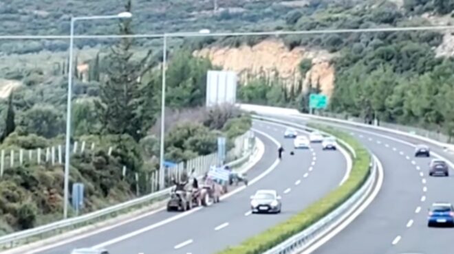 δημογλίδου-δικογραφία-για-περιστατι-564012826