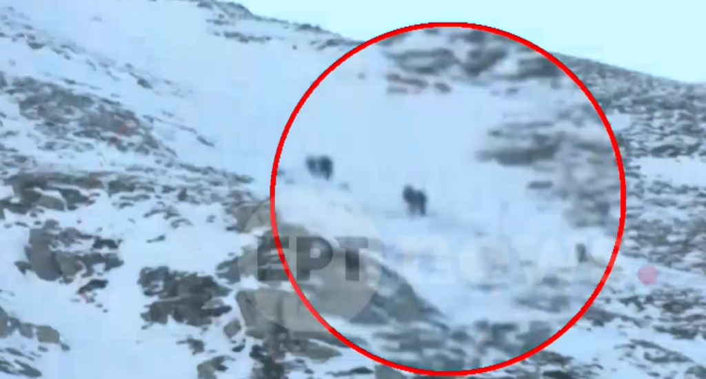 Ταΰγετος: Σε εξέλιξη η μεταφορά των ορειβατών [εικόνες]-1