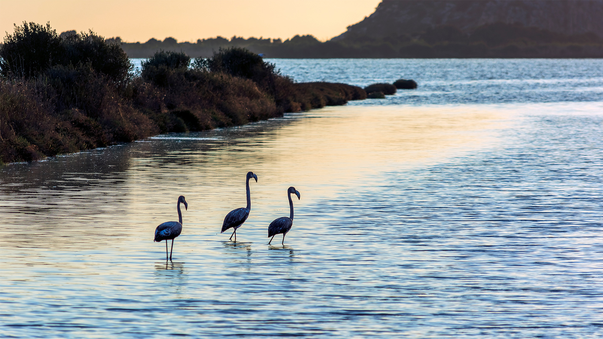 Μεσσηνία: Ενα από τα δημοφιλέστερα ταξιδιωτικά hotspots στον πλανήτη για το 2026-2