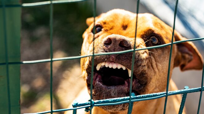 ομόνοια-λήστεψε-περίπτερο-συνοδεία-564012922