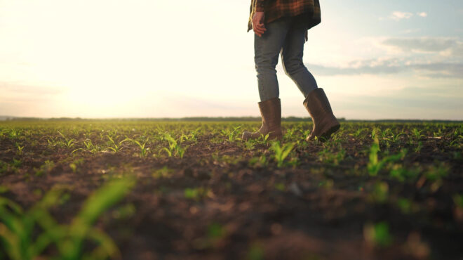 απογοητευμένοι-οι-αγρότες-από-τα-άλυτ-564041389