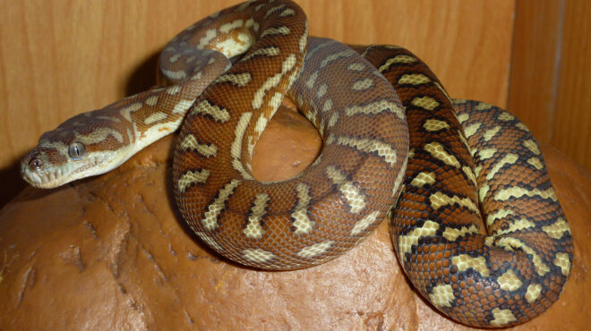 αγάπη-μου-μην-κουνηθείς-εχεις-πάνω-σο-564024805