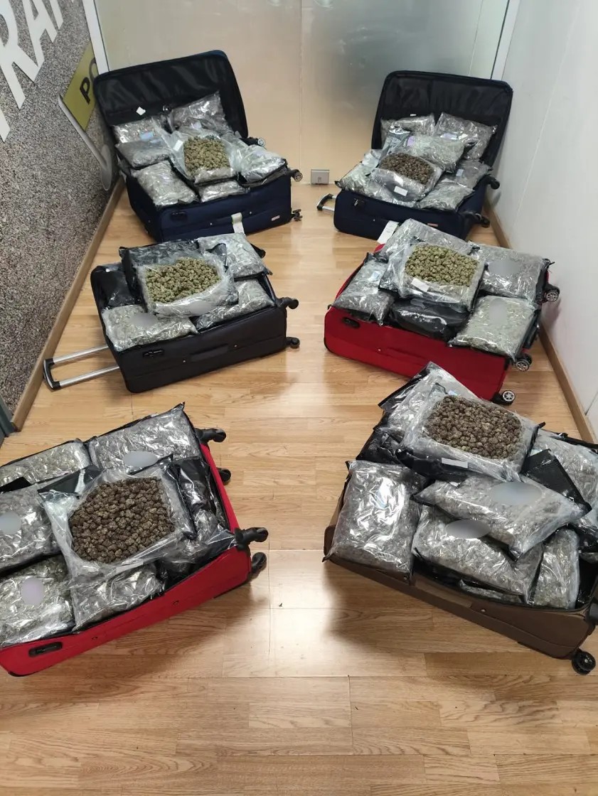 Τρεις Αμερικανίδες μετέφεραν 72 κιλά κάνναβης – Συνελήφθησαν στο «Ελ. Βενιζέλος»-1