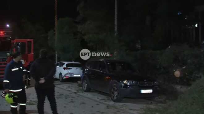 χολαργός-πτώση-δέντρου-λόγω-των-ισχυρ-564048832