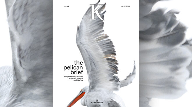 οι-πελεκάνοι-της-κερκίνης-ο-βάγκνερ-μό-564063829