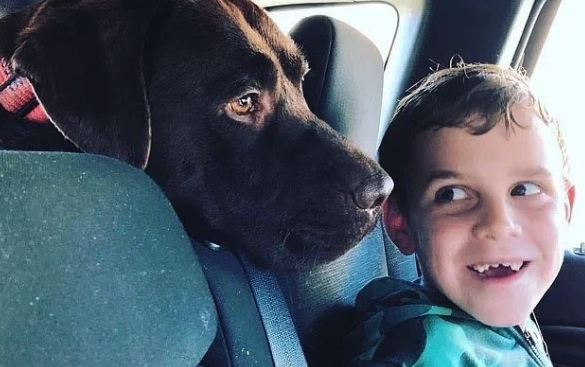 Η τραγωδία που συγκλόνισε την Αυστραλία: Σκότωσαν τα παιδιά τους και αυτοκτόνησαν-3