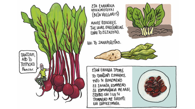 η-ιστορία-του-φαγητού-σε-πολύχρωμα-καρ-564090955