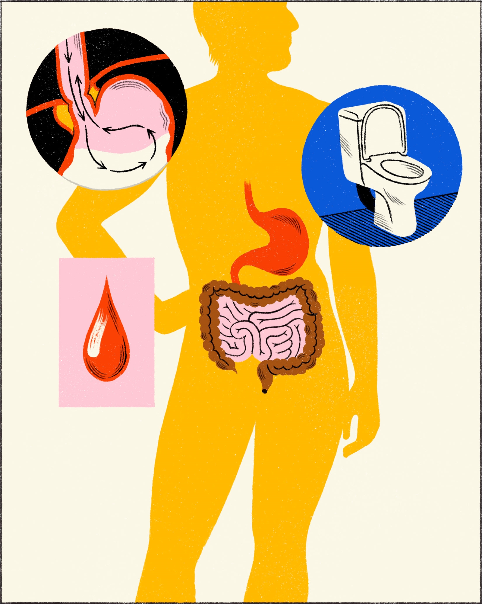 Πώς το αλκοόλ επηρεάζει τον οργανισμό-5