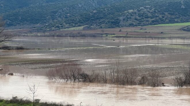 λάρισα-υπερχείλισε-ο-πηνειός-εκτετ-564055819