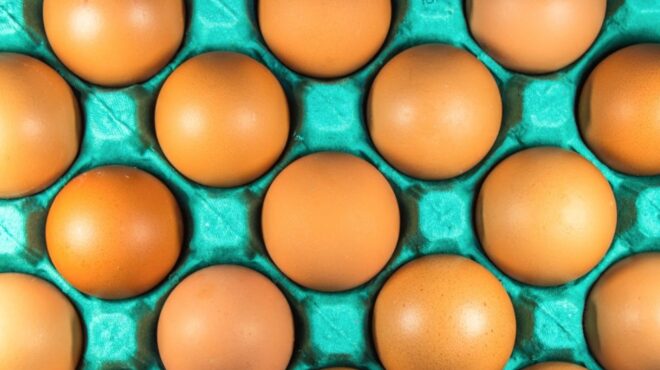 η-όρεξη-των-γάλλων-για-τα-αυγά-εφτασε-σε-564074989