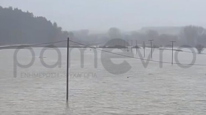 εβρος-πλημμύρισαν-60-000-στρέμματα-στο-σου-564091180