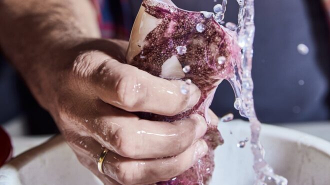 καλαμάρια-πώς-τα-καθαρίζουμε-πώς-τα-τη-564091732