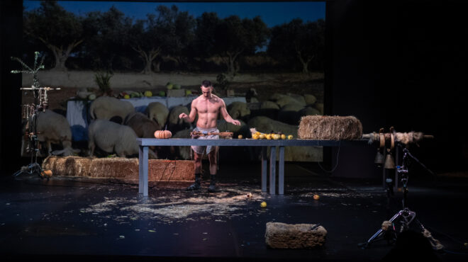 το-αλώνισμα-των-αμνών-στη-στέγη-564069322