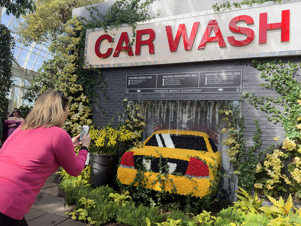 Επίθεση περιστεριών-3