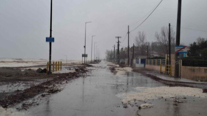 λάρισα-εισαγγελική-παρέμβαση-για-την-564062359