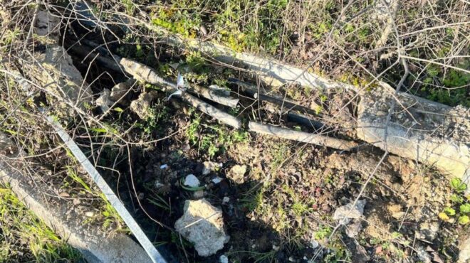 απόπειρα-κλοπής-πίσω-από-την-κοπή-καλω-564099064