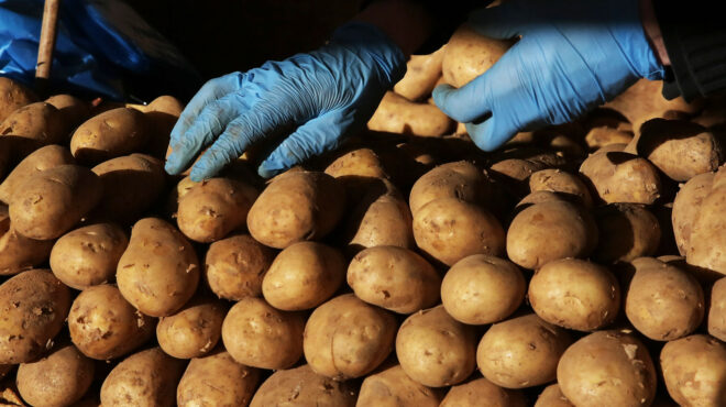 δεν-μπορούμε-να-πουλήσουμε-ούτε-πατάτ-564086020