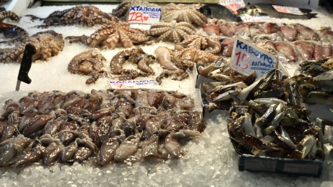 ακριβότερο-κατά-15-το-χταπόδι-φθηνότερε-564088417