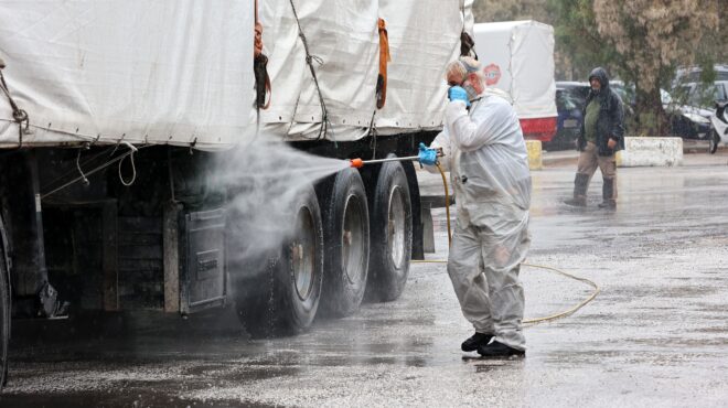 ευλογιά-των-αιγοπροβάτων-πάνω-από-479-000-οι-564085873