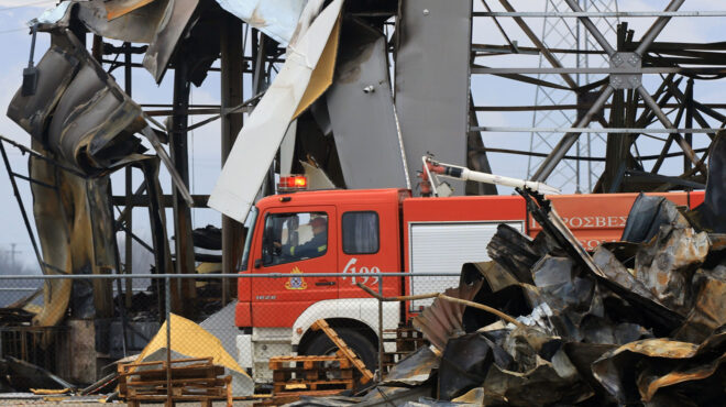 βιολάντα-το-πόρισμα-του-εμπ-για-τον-δ-564096043