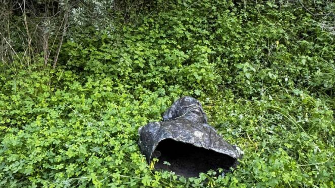 γιατί-ο-μαυροκορδάτος-παραμένει-κόκ-564060319