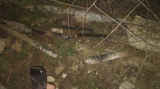 εισαγγελική-έρευνα-για-το-κομμένο-καλ-564097660